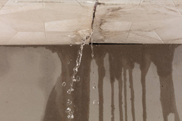Professional Burst Pipe Cleanup technician working in Taylor, PA